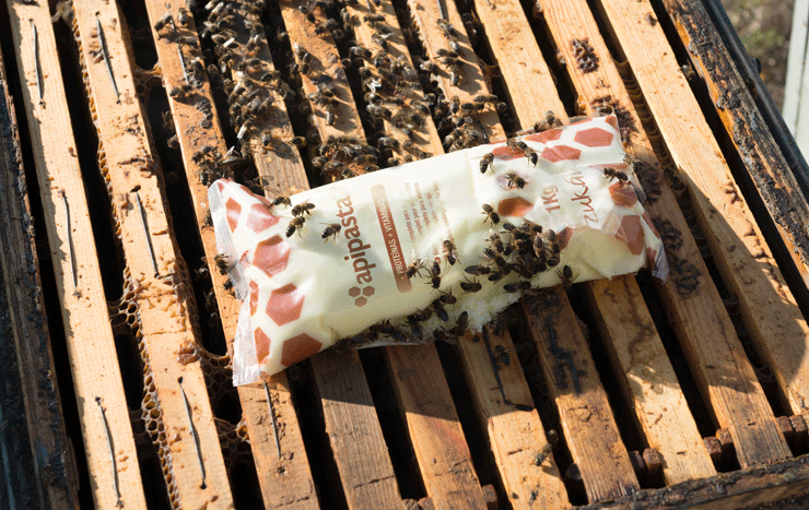 Apipasta con Vitaminas 15kg - Alimento Profesional para Abejas (Bolsas 1kg)