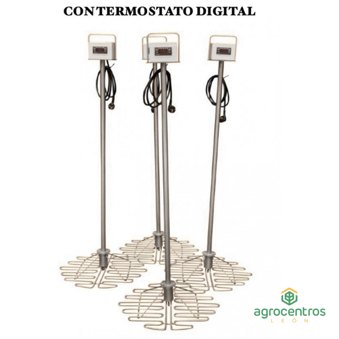 Resistência à imersão do mel com garrafa térmica digital 520mm