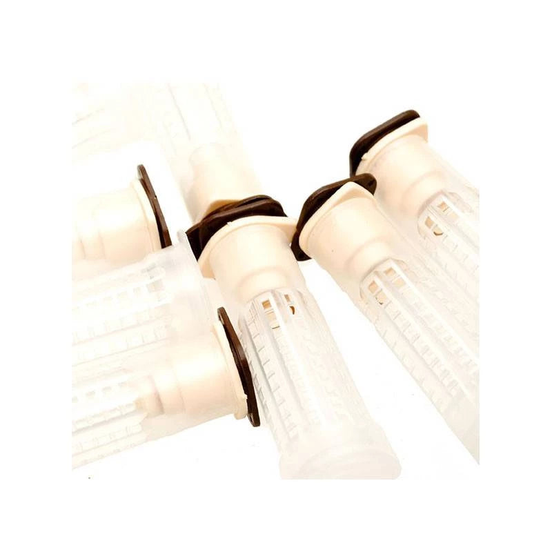 Kit completo para criação de rainhas