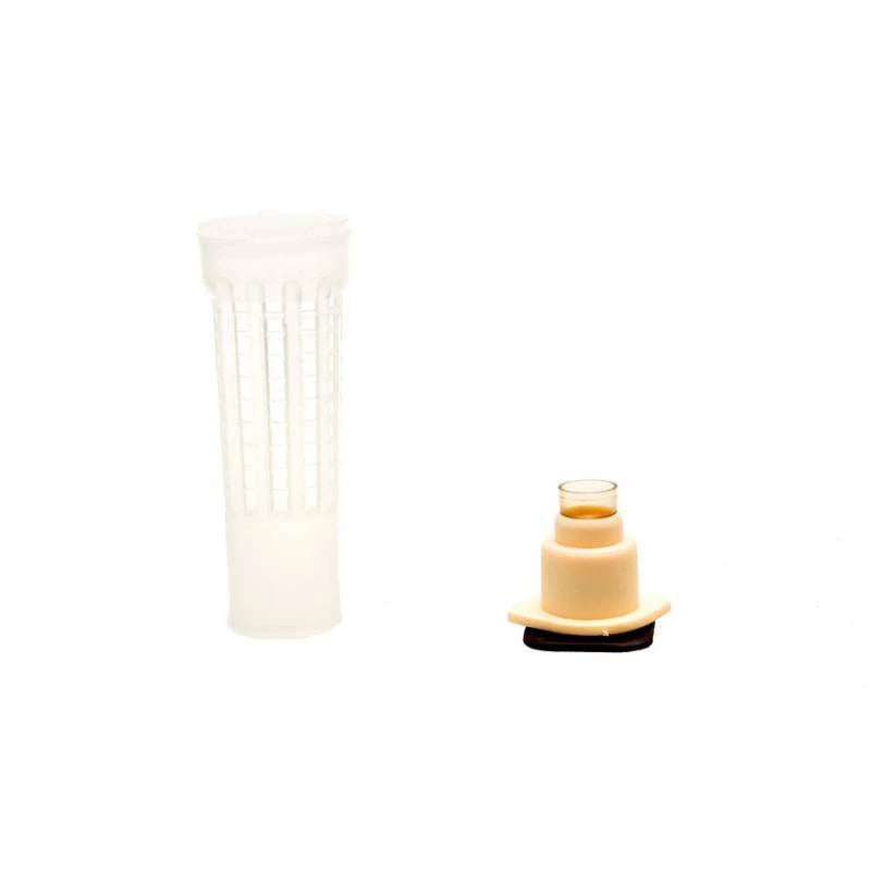 Kit completo para criação de rainhas