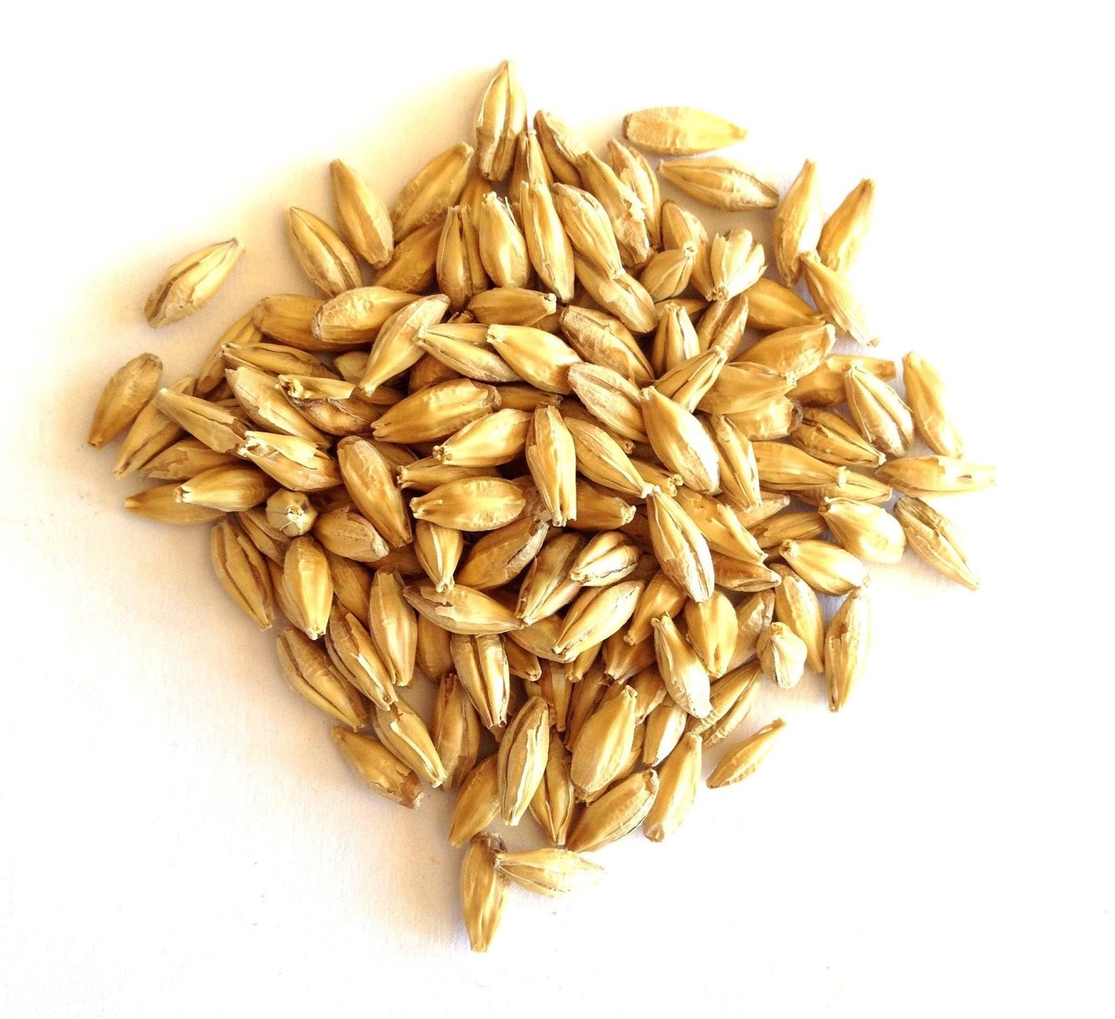 Barley (25kg bag) NANTA