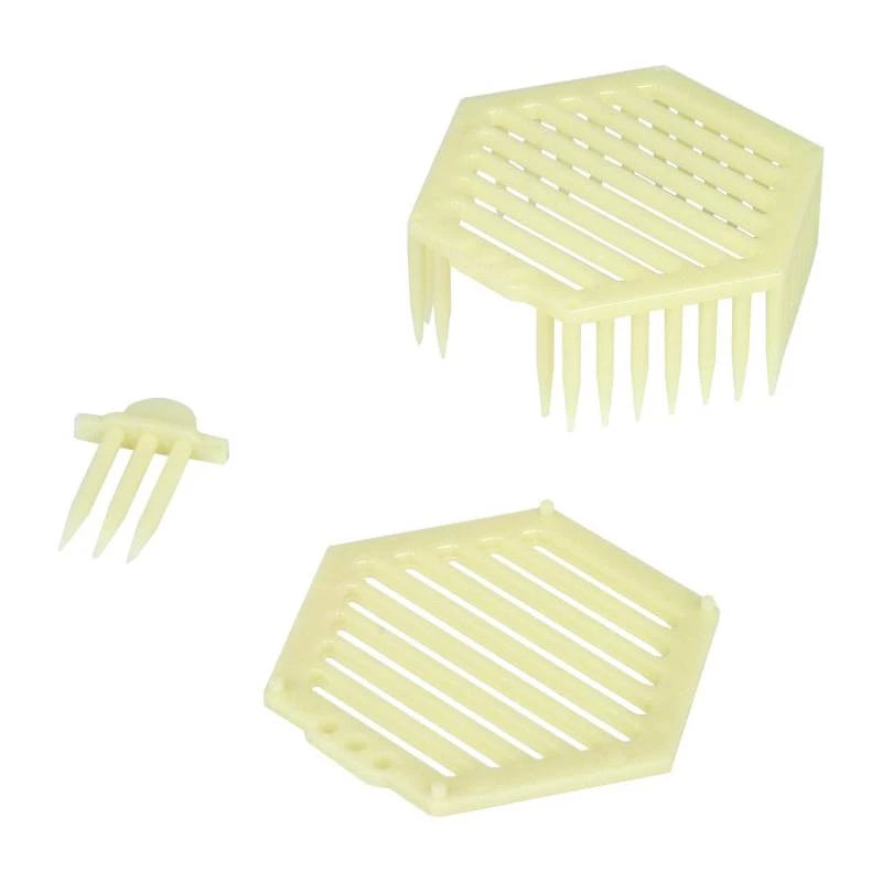 Hexagonal Queen Cage