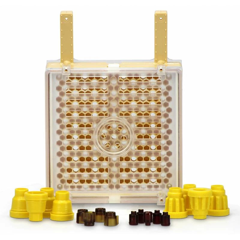 Kit de criação de rainhas Jenter System