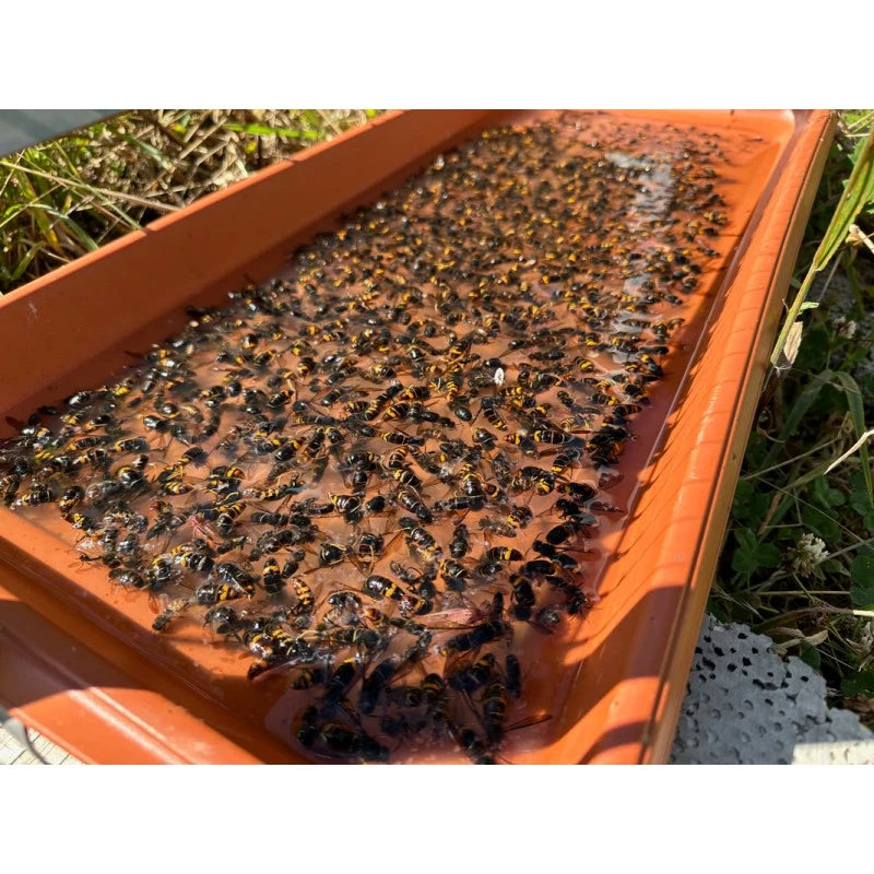 KIT COMPLETO: Arpa + Electrónica + Panel solar + Bandeja