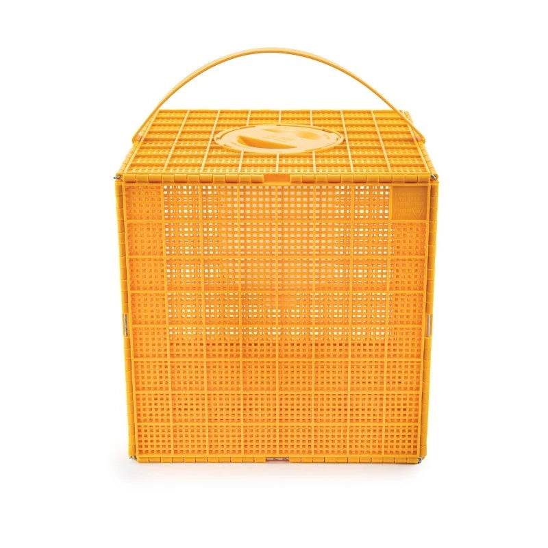 MULTIBOX envase paquete con alimentador