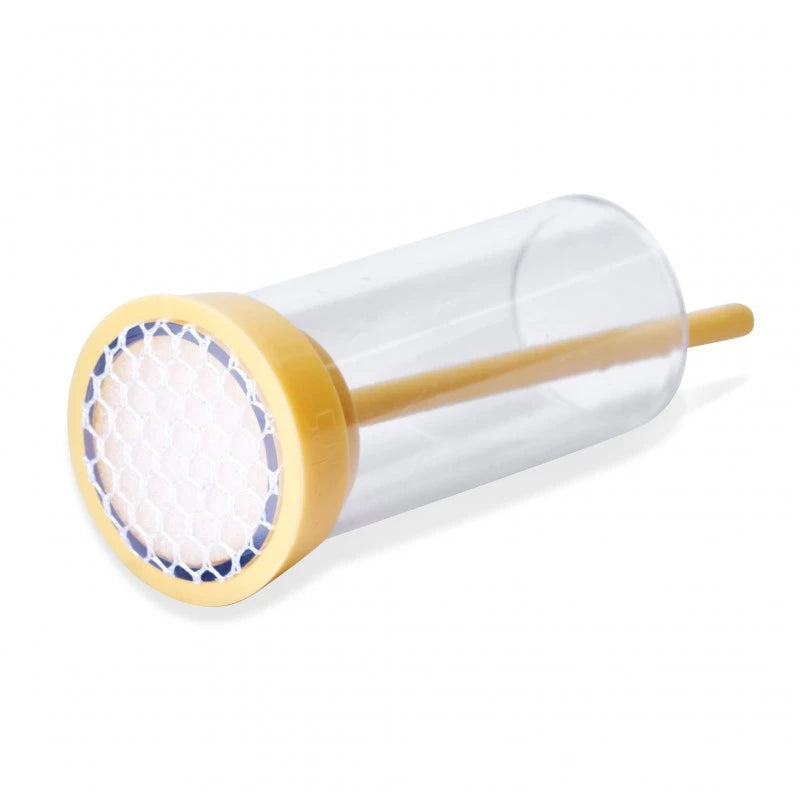 Queen Marker Piston