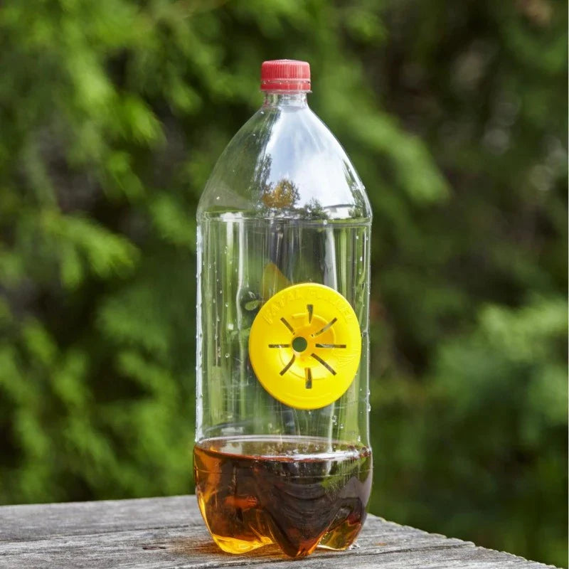 Pre-assembled wasp trap in a bottle