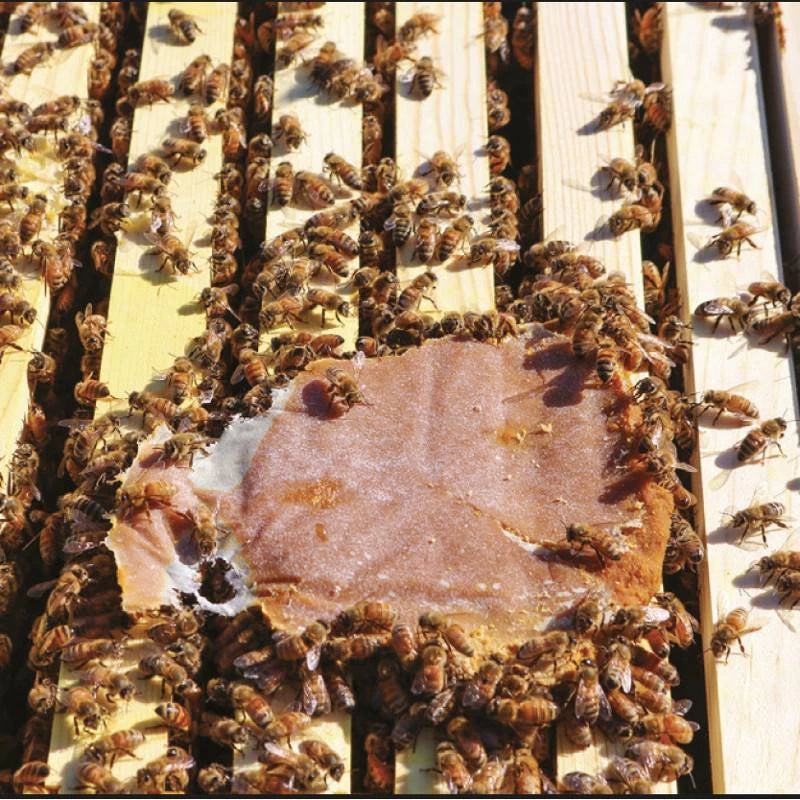 Ultra Bee Dry 18,14 kg – Base proteica para abejas