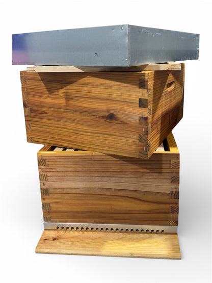 Colmeia Langstroth Laced completa (4 variantes)