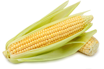 Corn kernels (25kg bag) NANTA 