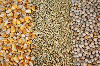 Mixture of Wheat, Corn, Barley, Yeros (25kg bag) NANTA 