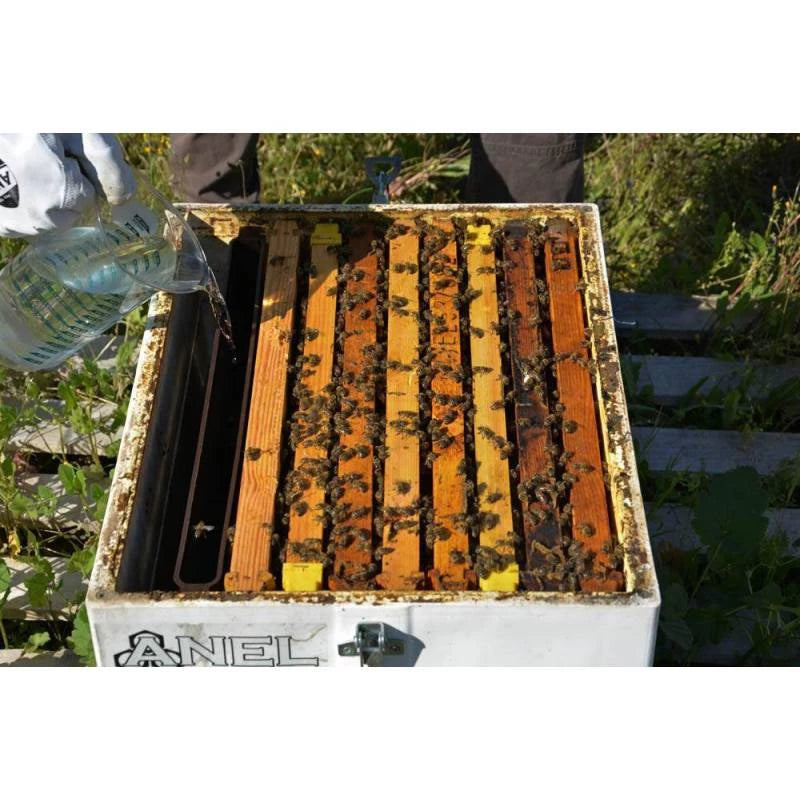 Alimentador de cuadro 1,5L ANEL