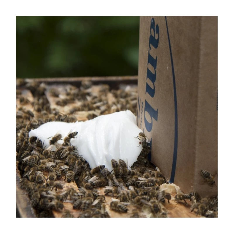 Ambrosia® 12,5kg pienso abejas