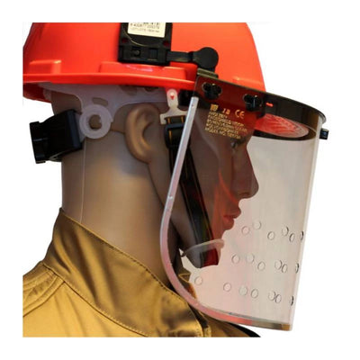 Asian Hornet Diver (Vespa velutina) Certified