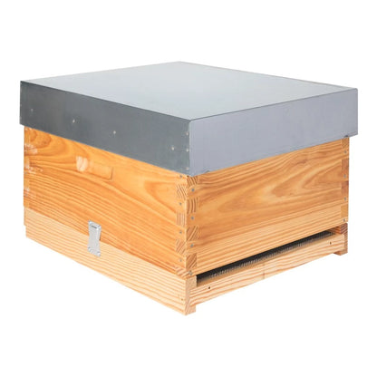 Câmara de criação Langstroth (4 variantes)