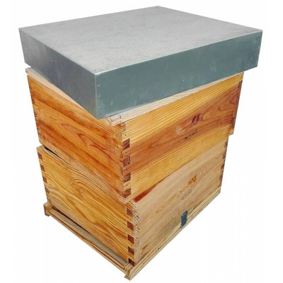 Colmena Langstroth Completa Lazada