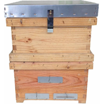 Colmena Langstroth Lazada Trashumancia