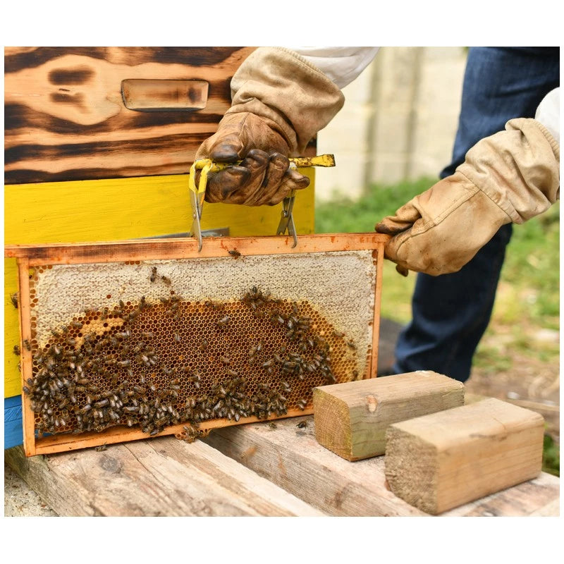 Levantacuadros Langstroth-Dadant