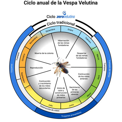 Trampa Troyano Anti Velutina - Protección Efectiva para Colmenas