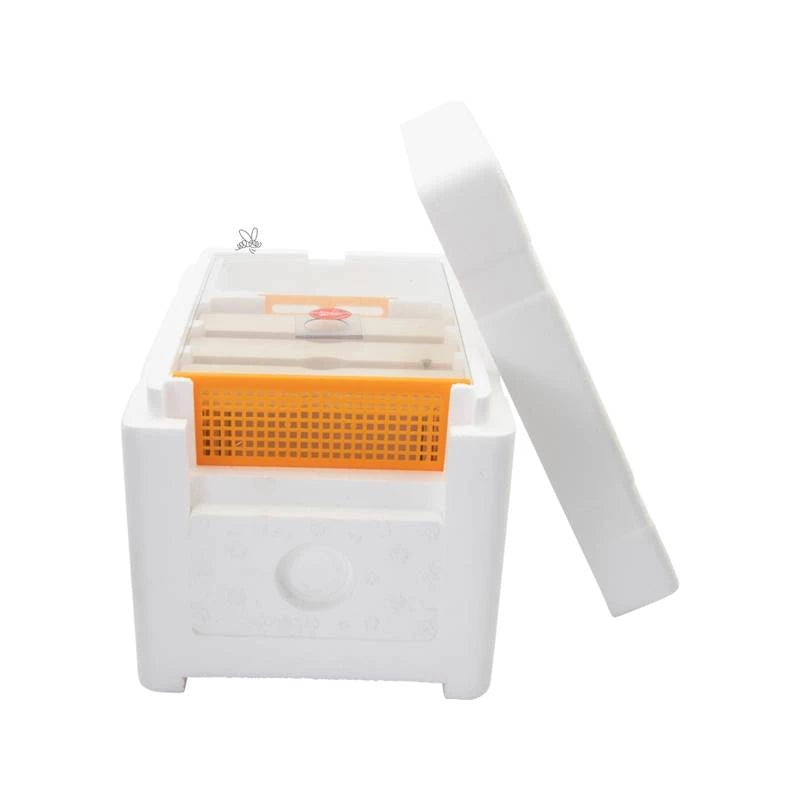 Mininúcleo de fecundación Swienty