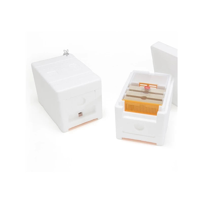 Mininúcleo de fecundación Swienty