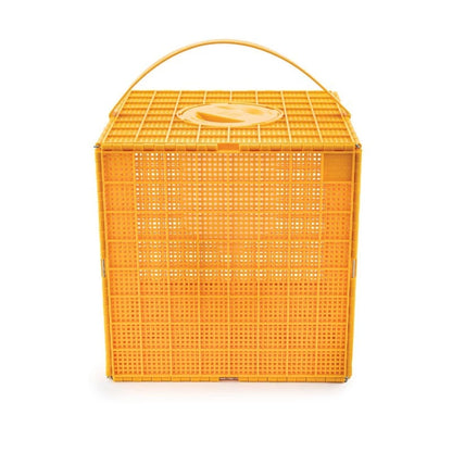 MULTIBOX envase paquete con alimentador