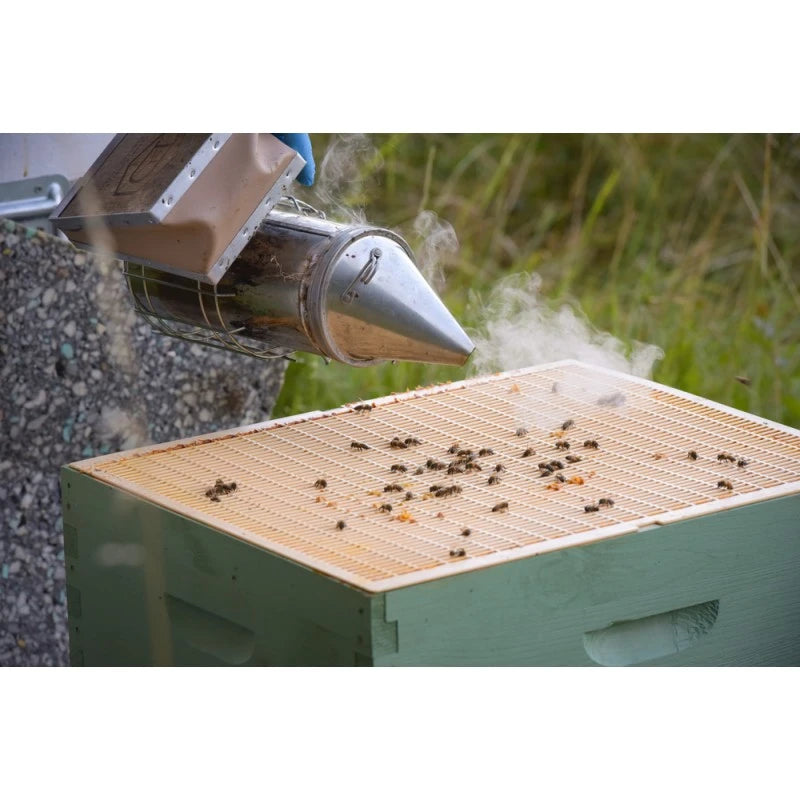 NICOT queen excluder grid