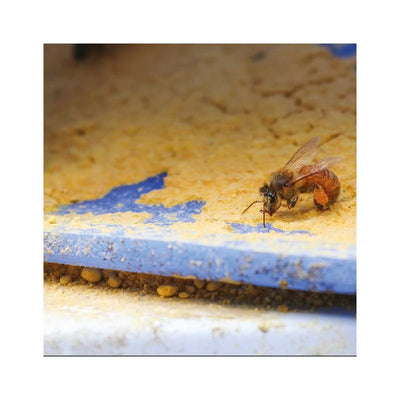 Ultra Bee Dry 18,14 kg – Base proteica para abejas