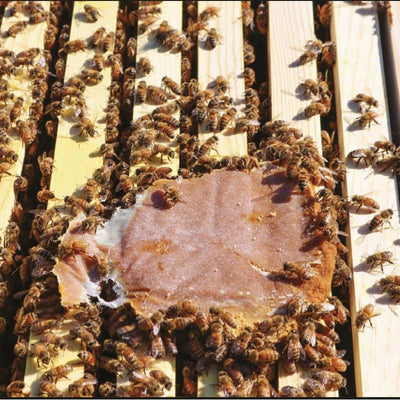Ultra Bee Dry 18,14 kg – Base proteica para abejas